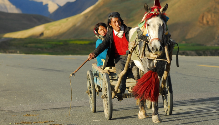 O Nepal é um paraíso para aventureiros e amantes da cultura! Lar do majestoso Monte Everest e de templos ancestrais, o país combina paisagens deslumbrantes, trilhas épicas e uma espiritualidade única. Explore a vibrante Kathmandu, descubra a serenidade de Pokhara e maravilhe-se com a hospitalidade nepalesa. Se você busca experiências autênticas e inesquecíveis, o Nepal é o destino perfeito! 🌄✨