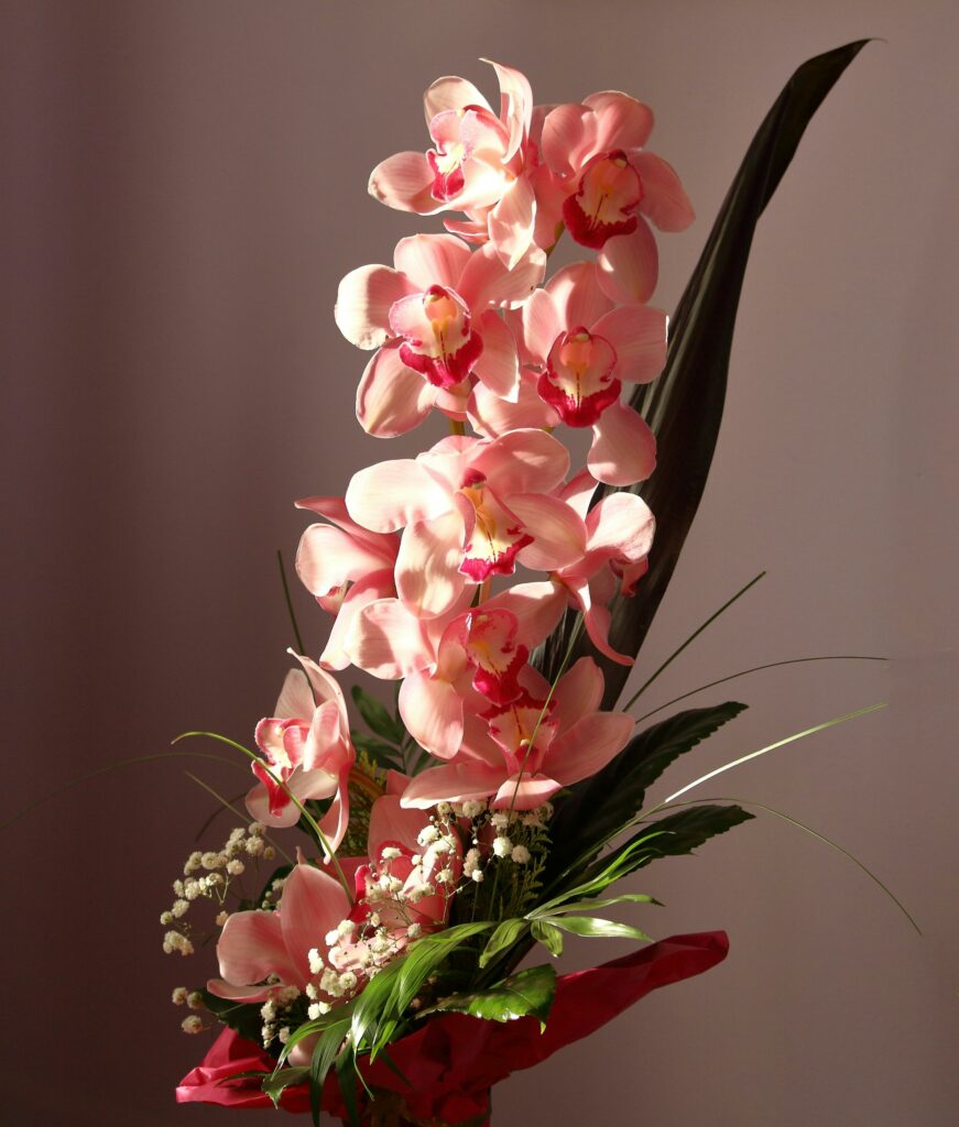 Orquídeas são joias botânicas que transformam qualquer ambiente com sua elegância natural e diversidade de cores e formas. De aparência exótica, mas surpreendentemente adaptáveis, essas flores cativam desde colecionadores apaixonados até quem está dando os primeiros passos no mundo da jardinagem. Elas simbolizam delicadeza, sofisticação e equilíbrio — e quando cultivadas com os cuidados certos, retribuem com florações espetaculares.
Se você quer não apenas admirar, mas cultivar orquídeas com sucesso, o segredo está em entender suas necessidades e nutrir cada detalhe do seu desenvolvimento. É justamente nesse ponto que nosso produto faz toda a diferença: desenvolvido especialmente para atender às exigências dessas flores, ele é o aliado ideal para transformar curiosidade em resultado — e plantas comuns em verdadeiras obras de arte vivas.
